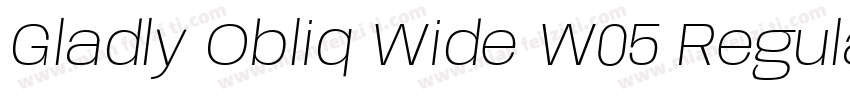 Gladly Obliq Wide W05 Regular字体转换